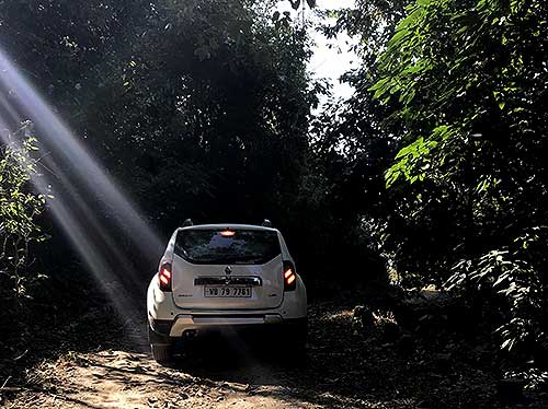 Car Adventure Forest Ride