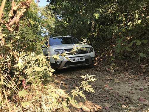 Car Adventure Forest Ride